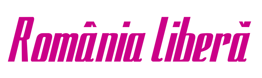 Permise de Conducere internaționale pentru Români